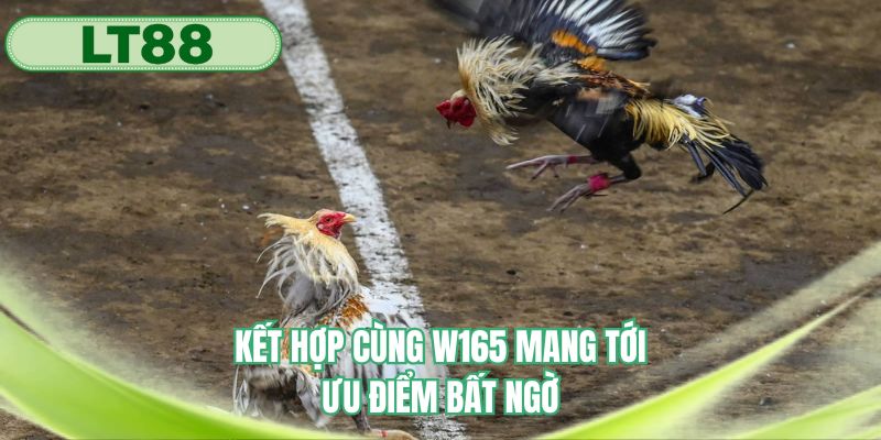 Kết hợp cùng W165 mang tới ưu điểm bất ngờ