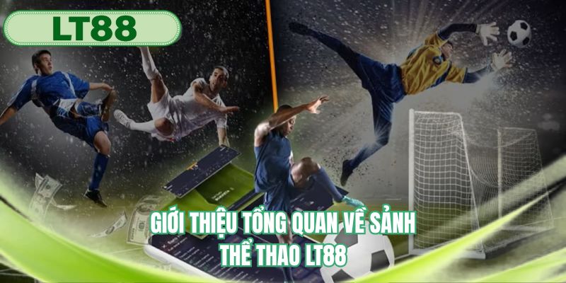 Khái quát những điều hấp dẫn về sảnh thể thao của chúng tôi